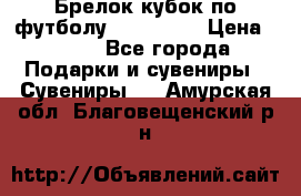 Брелок кубок по футболу Fifa 2018 › Цена ­ 399 - Все города Подарки и сувениры » Сувениры   . Амурская обл.,Благовещенский р-н